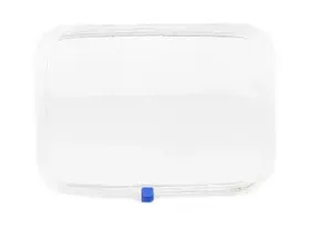 BSG 60-801-006 BSG Рассеиватель, основная фара